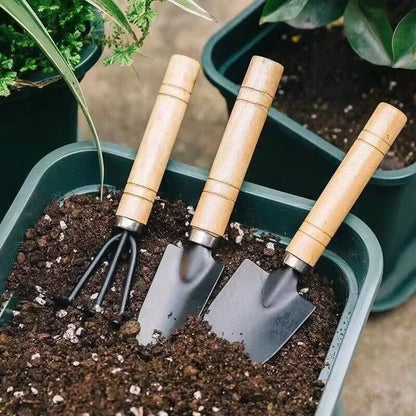 3Pcs Plant Garden Tools Set for Potted Plants Seedling Pruning Tweezers Scissors Flowers Potted Plant Garden Tools Weeding Tools
